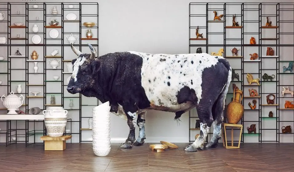 [Image: bull-china-store.png]